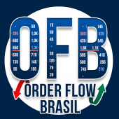 Order Flow Brasil