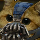 Cat- Bane