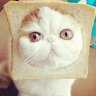 cat bread