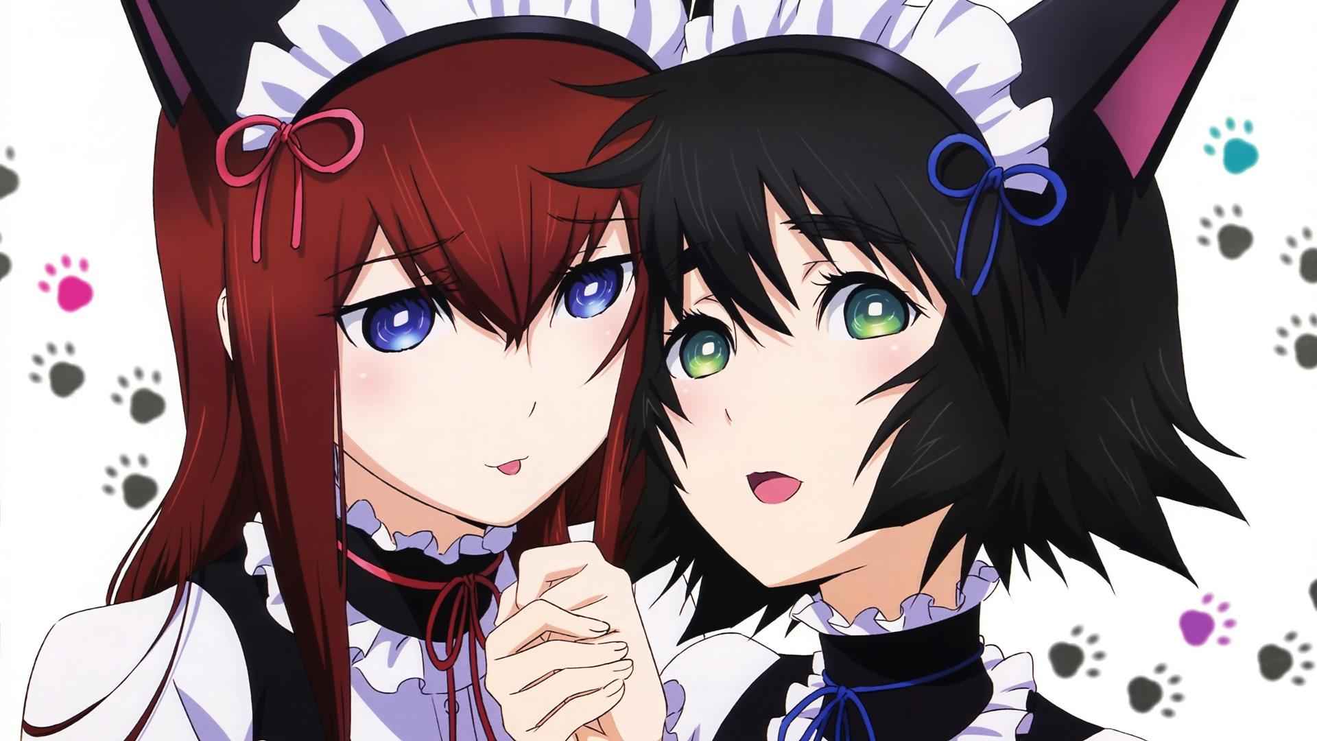 Mais informações sobre "GGames anuncia continuação de STEINS;GATE"