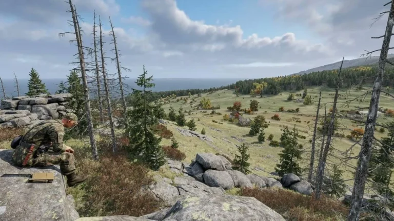 Arma 4