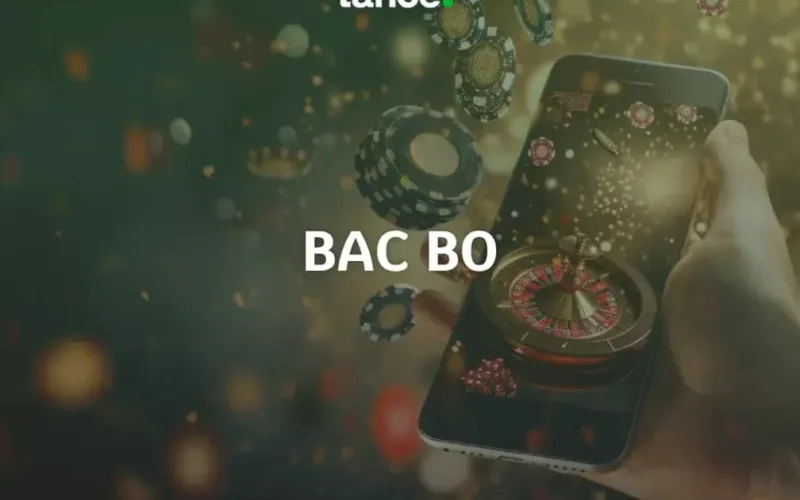 Como jogar Bac Bo: regras, apostas e guia completo para iniciantes