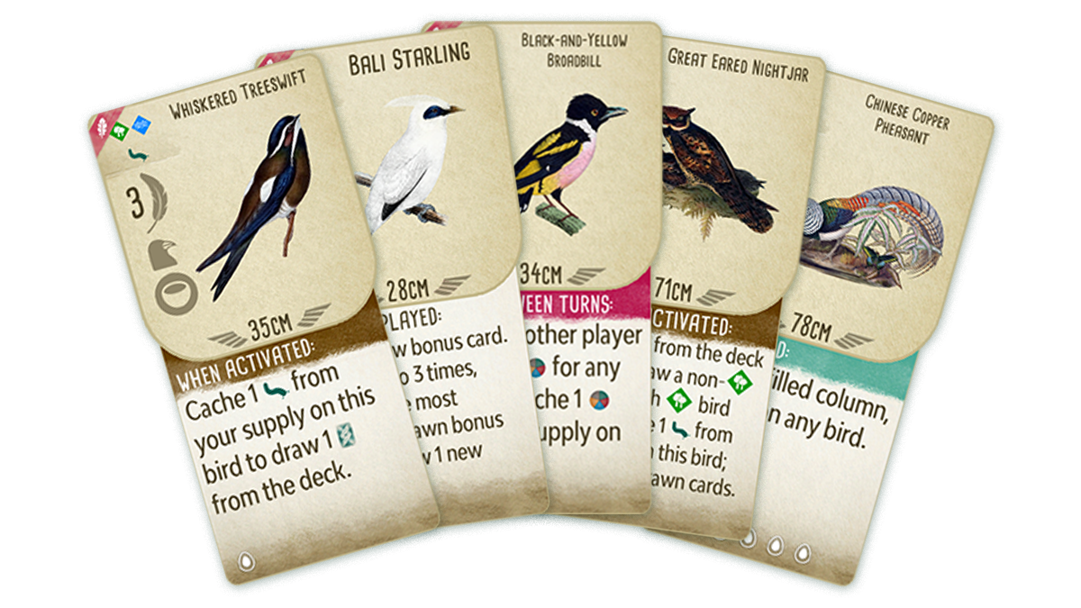 Wingspan Bird Pack: Additional Asian Avians traz 25 novas aves para o jogo