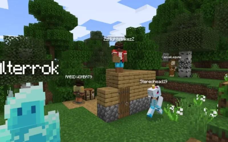 Minecraft