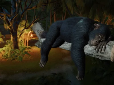 Planet Zoo 2 apresenta reservas de vida selvagem e restauração de ecossistemas