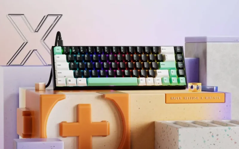 Reclusa X Mini 65%